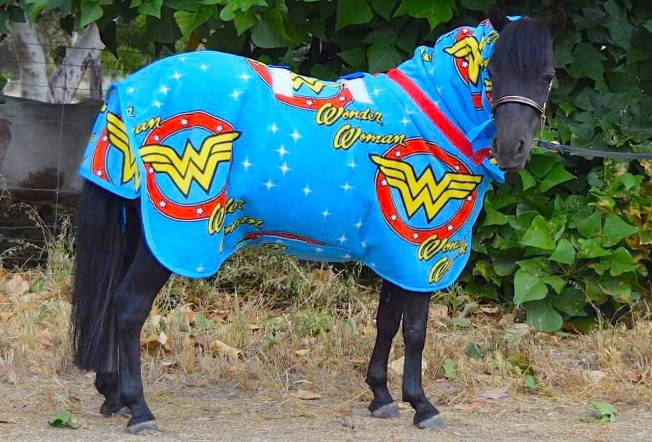 Wonder Woman double fleece combo